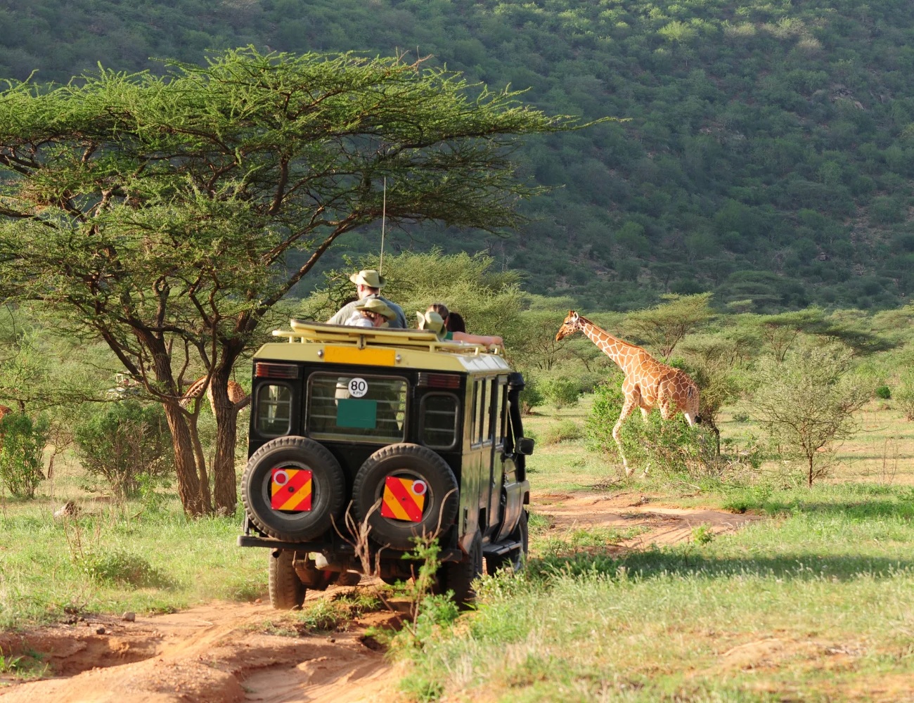 What to expect in Samburu national reserve on safari in Kenya 